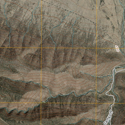 United States Geological Survey Panther Canyon, TX (2010, 24000-Scale) digital map