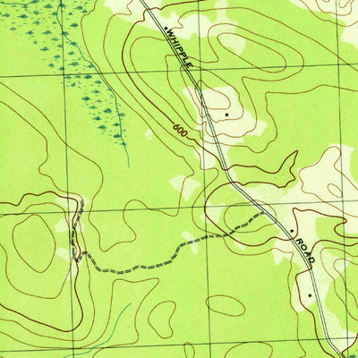 United States Geological Survey Panther Lake, NY (1943, 31680-Scale) digital map