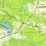 United States Geological Survey Panther Lake, NY (1943, 31680-Scale) digital map