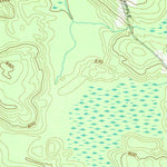 United States Geological Survey Panther Lake, NY (1959, 24000-Scale) digital map