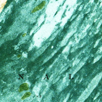 United States Geological Survey Panther Mound, FL (1972, 24000-Scale) digital map