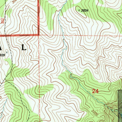 United States Geological Survey Panther Spring, CA (1995, 24000-Scale) digital map