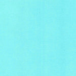 United States Geological Survey Papaikou, HI (1966, 24000-Scale) digital map