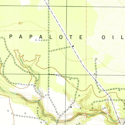 United States Geological Survey Papalote, TX (1979, 24000-Scale) digital map