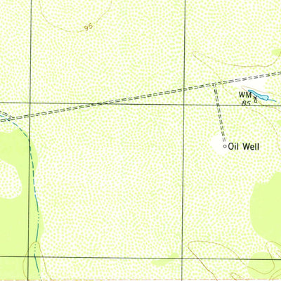 United States Geological Survey Papalote, TX (1979, 24000-Scale) digital map