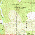 United States Geological Survey Paradise East, CA (1980, 24000-Scale) digital map