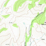United States Geological Survey Paradise Mountain, TX (1978, 24000-Scale) digital map