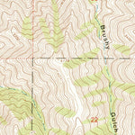 United States Geological Survey Paradise, OR-WA (1967, 24000-Scale) digital map