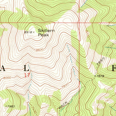 United States Geological Survey Paradise Peak, ID (1970, 24000-Scale) digital map