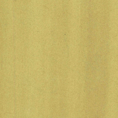 United States Geological Survey Paris, TX-OK (1903, 125000-Scale) digital map