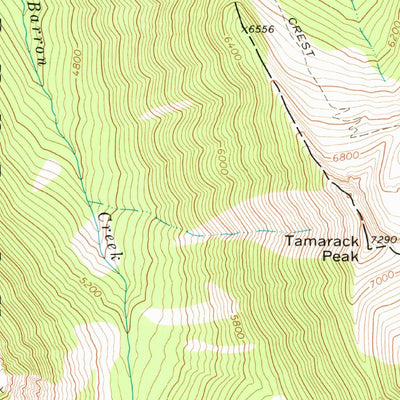 United States Geological Survey Pasayten Peak, WA (1969, 24000-Scale) digital map