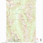 United States Geological Survey Pasayten Peak, WA (2002, 24000-Scale) digital map