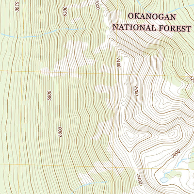 United States Geological Survey Pasayten Peak, WA (2020, 24000-Scale) digital map