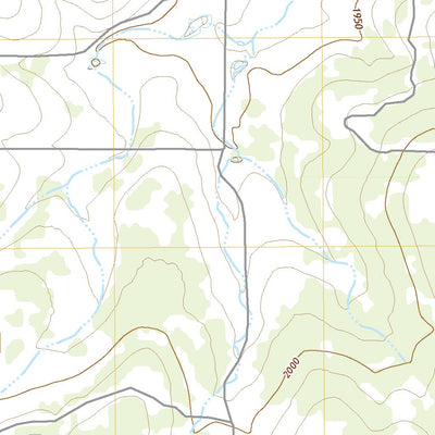United States Geological Survey Pasche, TX (2022, 24000-Scale) digital map