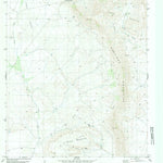 United States Geological Survey Paso Del Norte, TX (1983, 24000-Scale) digital map