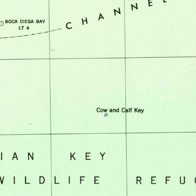 United States Geological Survey Pass-A-Grille Beach, FL (1943, 31680-Scale) digital map