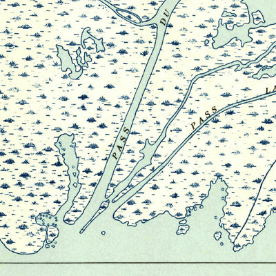 United States Geological Survey Pass Du Bois, LA (1954, 31680-Scale) digital map