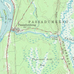 United States Geological Survey Passadumkeag, ME (1960, 62500-Scale) digital map