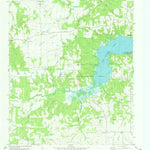 United States Geological Survey Pat Mayse Lake West, TX (1980, 24000-Scale) digital map