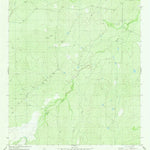United States Geological Survey Pato Creek, TX (1980, 24000-Scale) digital map