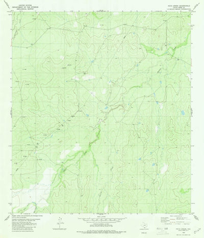 United States Geological Survey Pato Creek, TX (1980, 24000-Scale) digital map