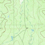 United States Geological Survey Pato Creek, TX (1980, 24000-Scale) digital map