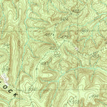 United States Geological Survey Patroon South, TX (1984, 24000-Scale) digital map