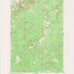 United States Geological Survey Patzau, WI (1954, 24000-Scale) digital map