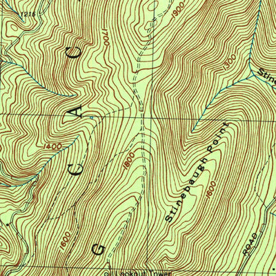 United States Geological Survey Paw Paw, WV-MD (1996, 24000-Scale) digital map