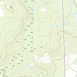 United States Geological Survey Paxton, FL (2021, 24000-Scale) digital map