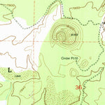 United States Geological Survey Paxton Springs, NM (1952, 24000-Scale) digital map