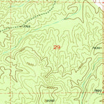 United States Geological Survey Paxton Springs, NM (1952, 24000-Scale) digital map