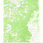 United States Geological Survey Paydown, MO (1981, 24000-Scale) digital map