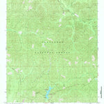 United States Geological Survey Payne Lake, AL (1980, 24000-Scale) digital map