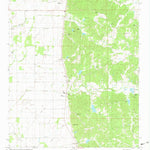 United States Geological Survey Paynes, MS (1981, 24000-Scale) digital map