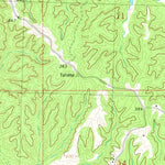 United States Geological Survey Paynes, MS (1981, 24000-Scale) digital map