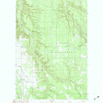 United States Geological Survey Paynesville, MI (1982, 25000-Scale) digital map
