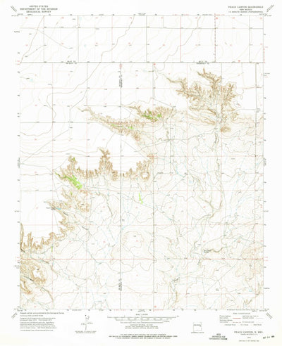 United States Geological Survey Peach Canyon, NM (1973, 24000-Scale) digital map