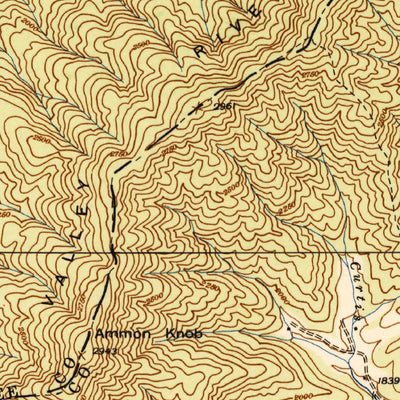 United States Geological Survey Peachtree, NC (1938, 24000-Scale) digital map