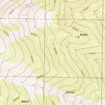 United States Geological Survey Pearl Peak, NV (1985, 24000-Scale) digital map