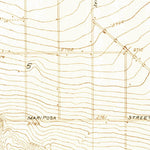 United States Geological Survey Pearland, CA (1930, 24000-Scale) digital map