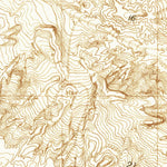 United States Geological Survey Pearland, CA (1930, 24000-Scale) digital map
