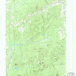 United States Geological Survey Peasleeville, NY (1966, 24000-Scale) digital map