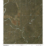 United States Geological Survey Pecan Crossing, TX (2010, 24000-Scale) digital map