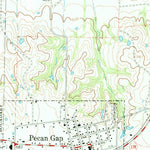 United States Geological Survey Pecan Gap, TX (1964, 24000-Scale) digital map