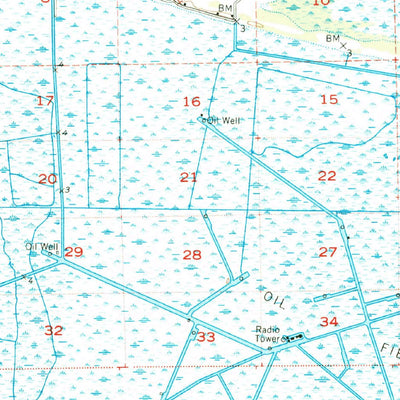 United States Geological Survey Pecan Island, LA (1951, 62500-Scale) digital map
