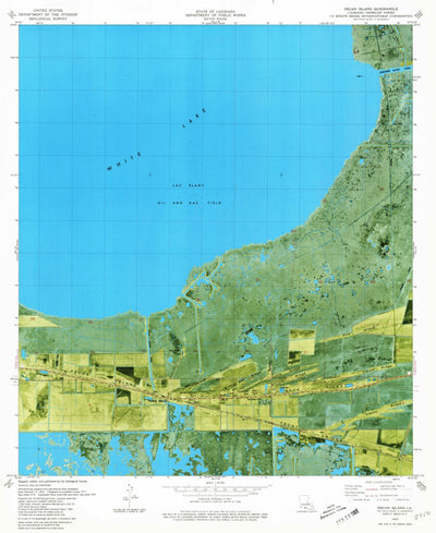 United States Geological Survey Pecan Island, LA (1979, 24000-Scale) digital map