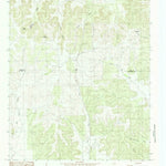 United States Geological Survey Pecan Mott, TX (1984, 24000-Scale) digital map