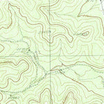 United States Geological Survey Pecan Mott, TX (1984, 24000-Scale) digital map