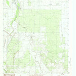 United States Geological Survey Pecan Station, TX (1984, 24000-Scale) digital map